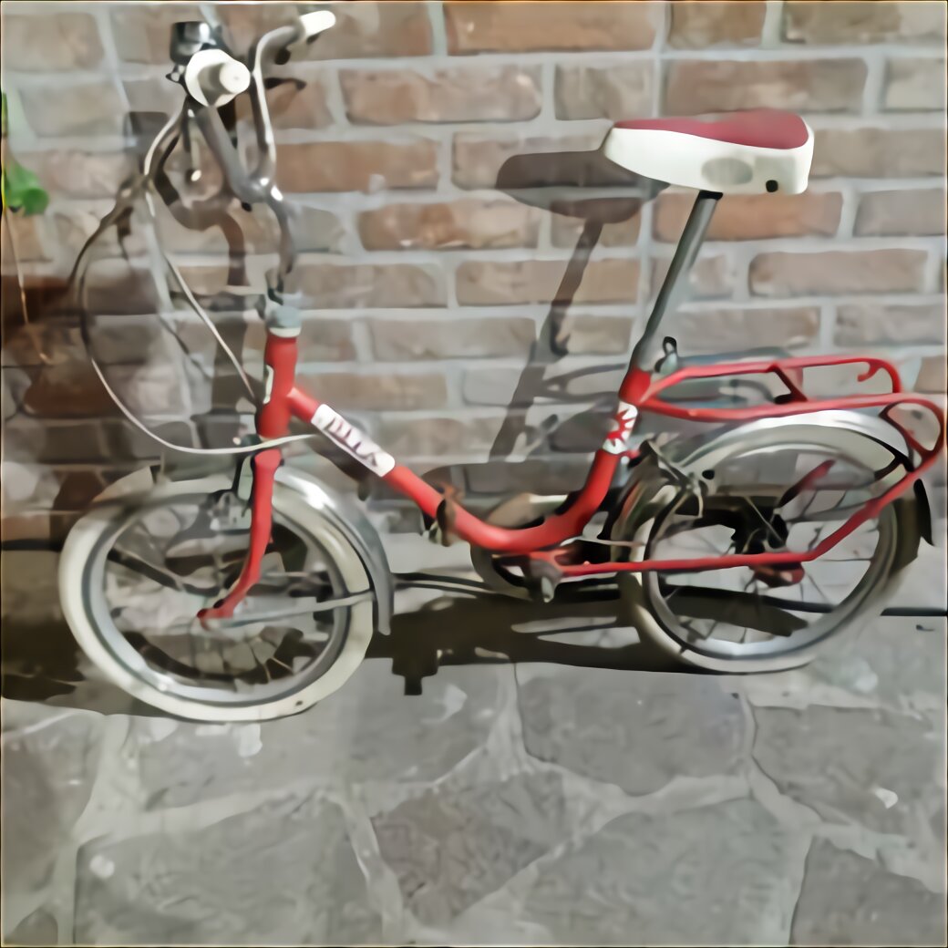 bicicletta da 24 usata