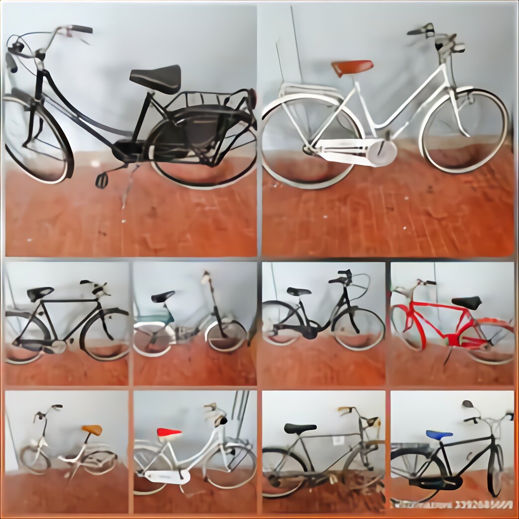 bicicletta da 24 usata