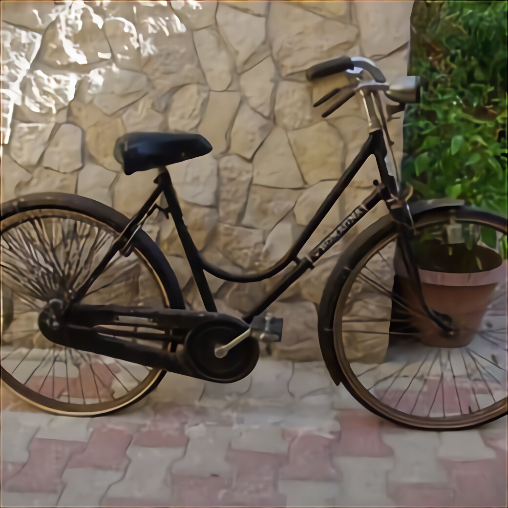 bicicletta da donna vintage