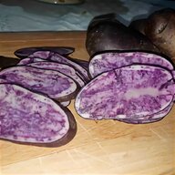 patate viola usato