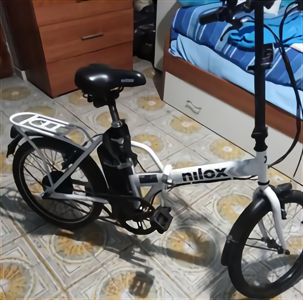 biciclette elettriche usate 500 watt prezzi