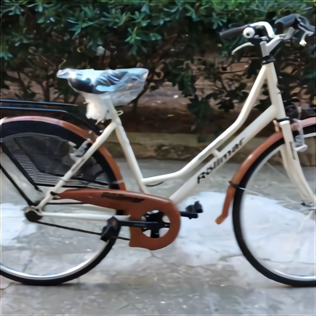 bicicletta olandesina usata