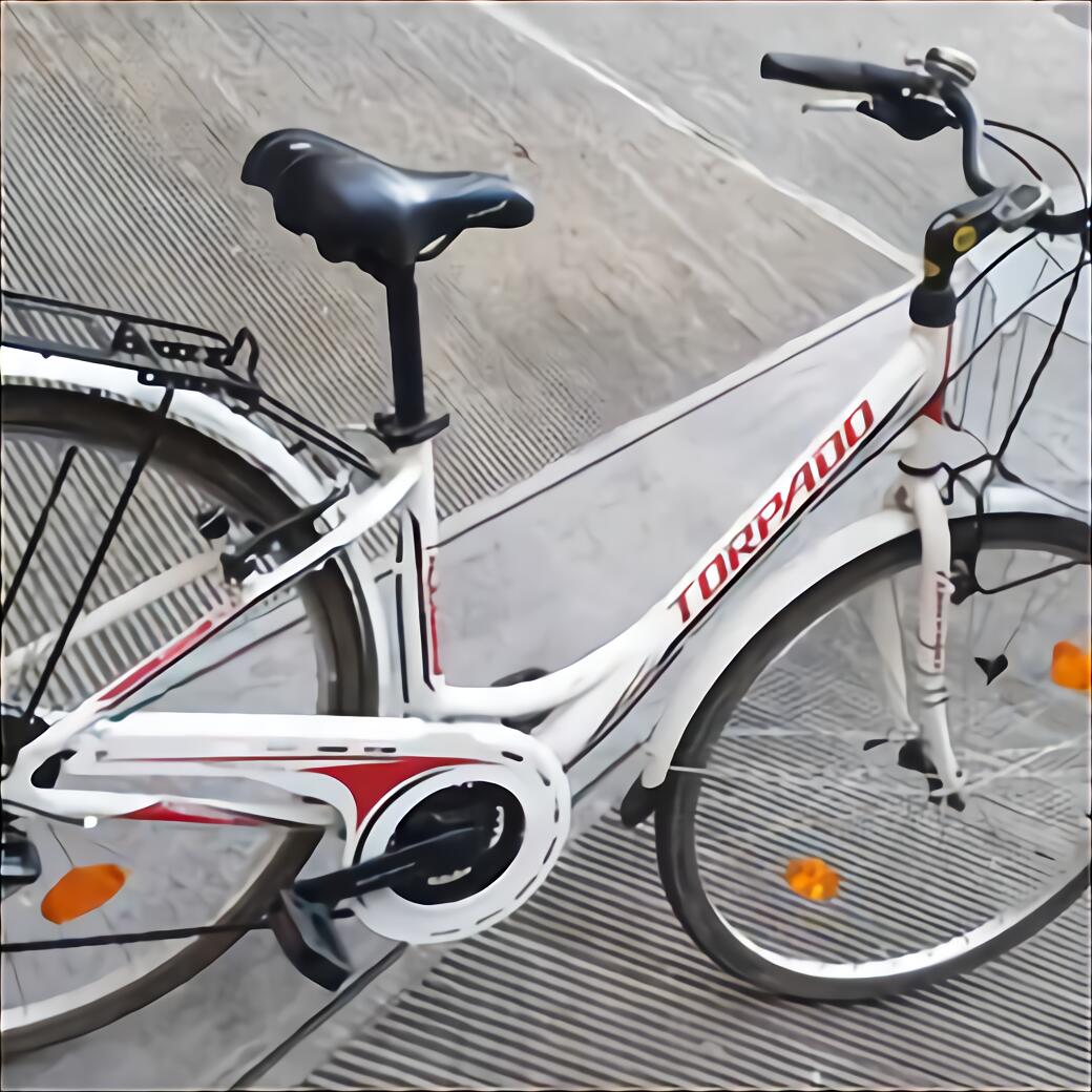 bicicletta olandesina usata