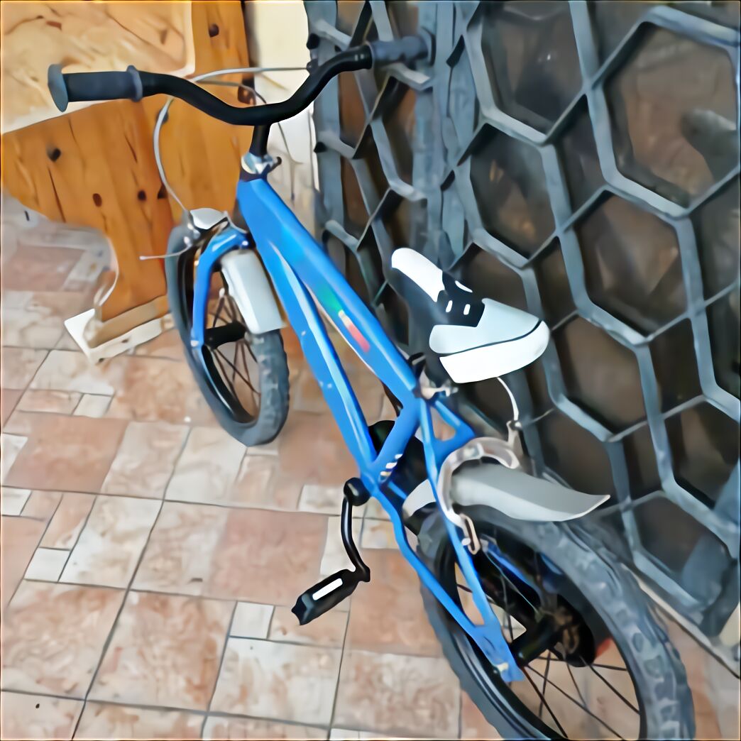 bicicletta bambina 10 anni usata milano