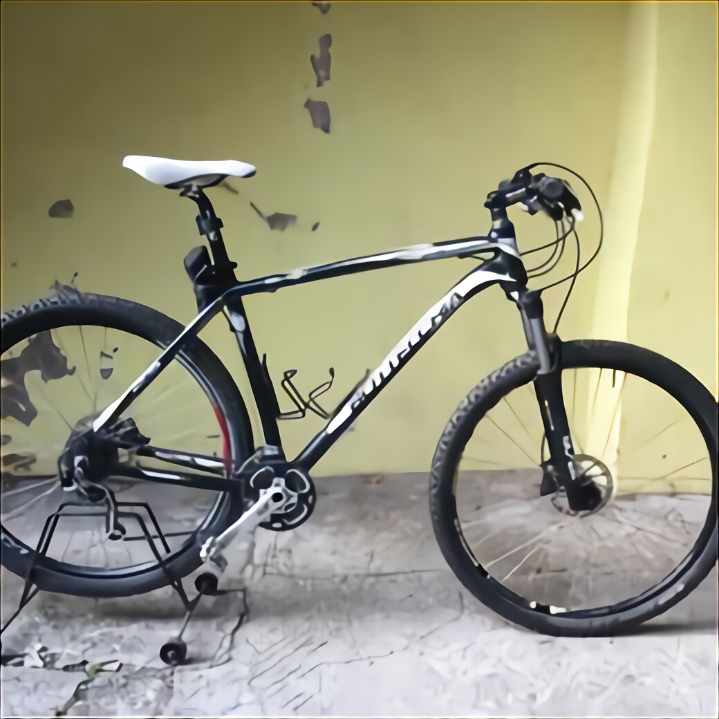 bicicletta bottecchia fx 540 prezzo