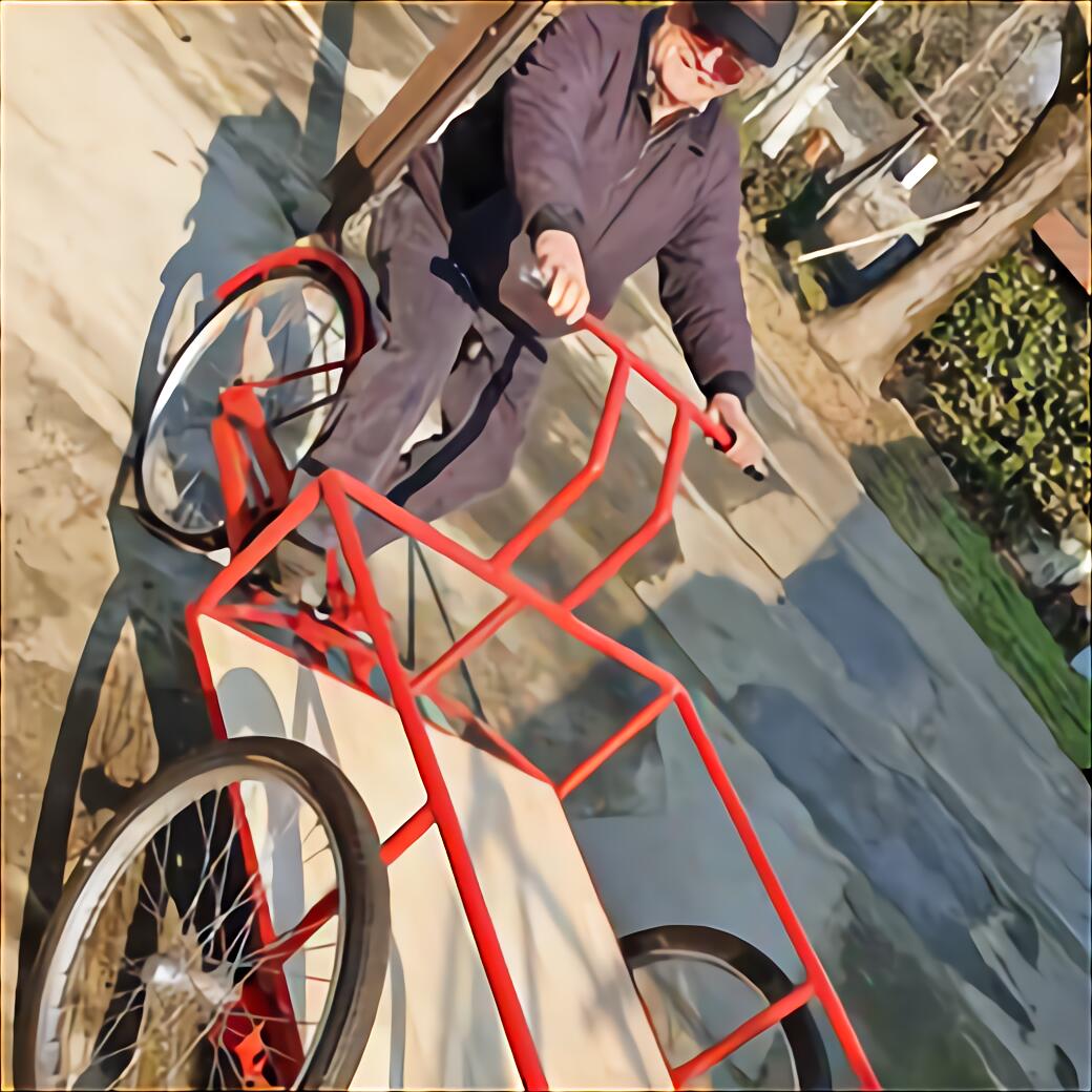 bicicletta cargo elettrica