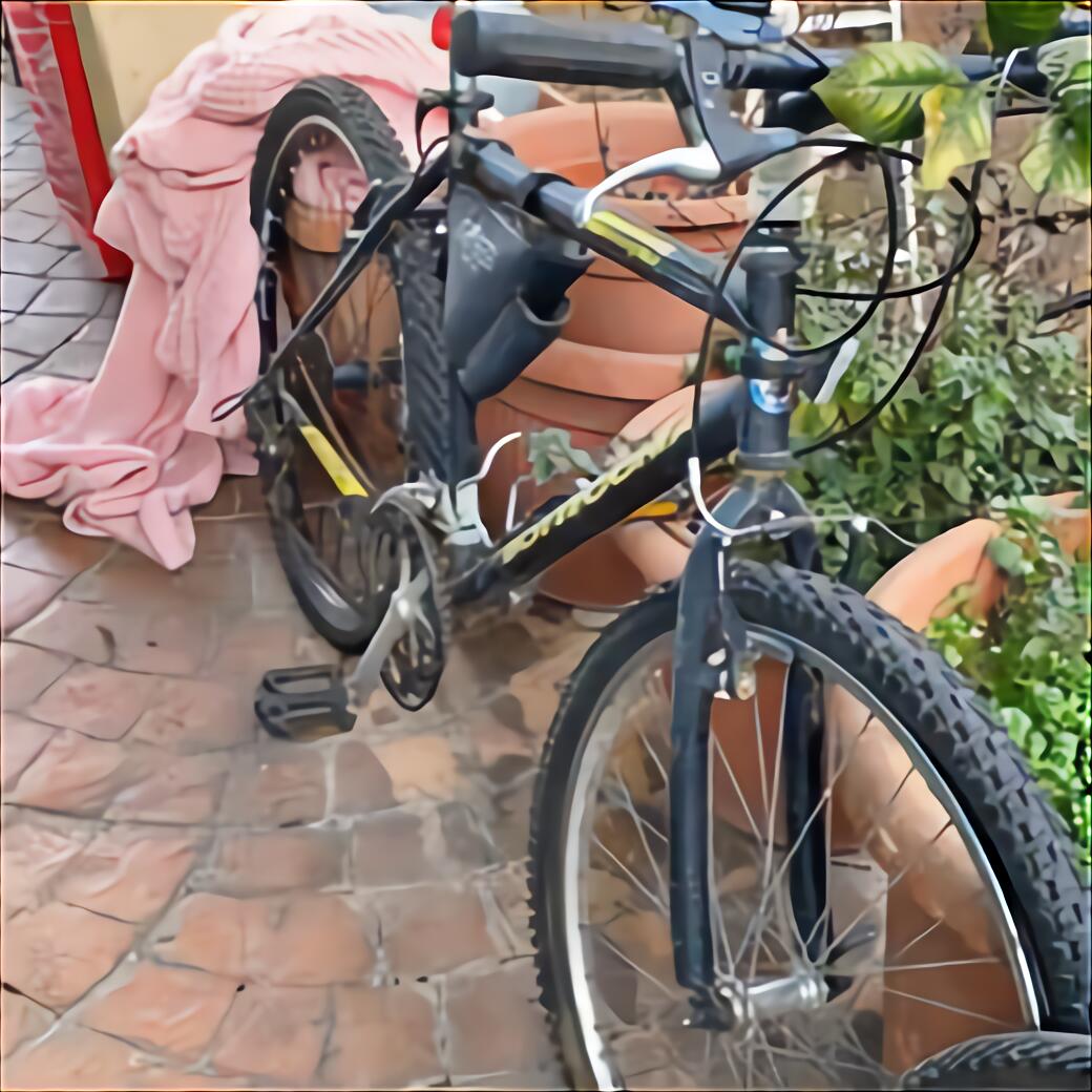 bicicletta bianchi usata camaleonte